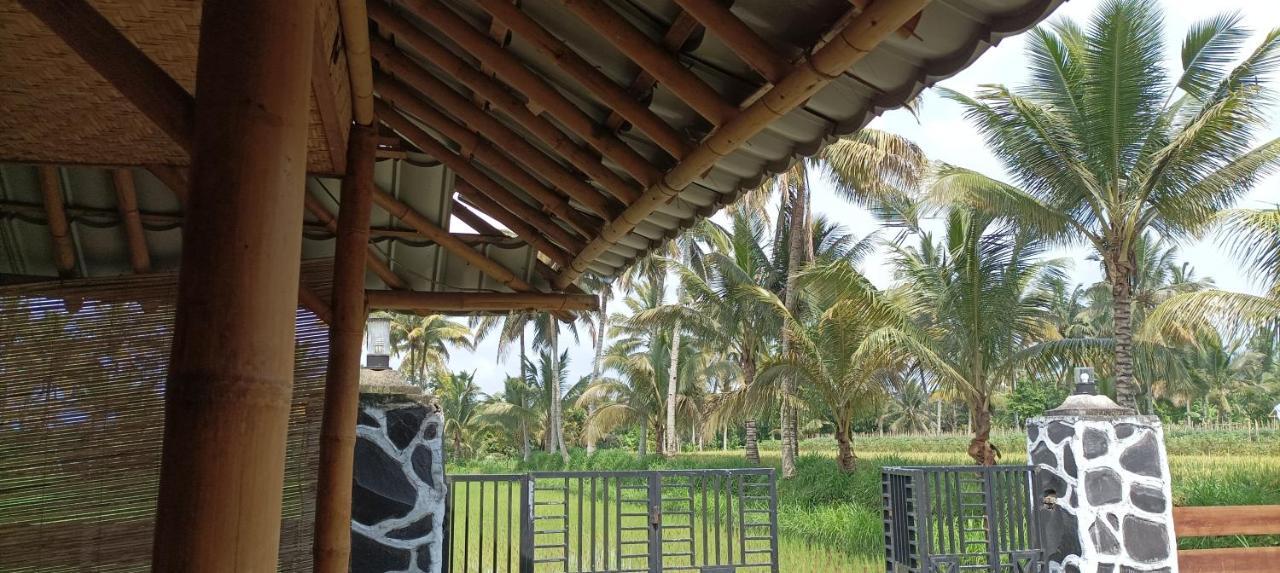 טטבאטו Mysha Guest House-Lombok מראה חיצוני תמונה