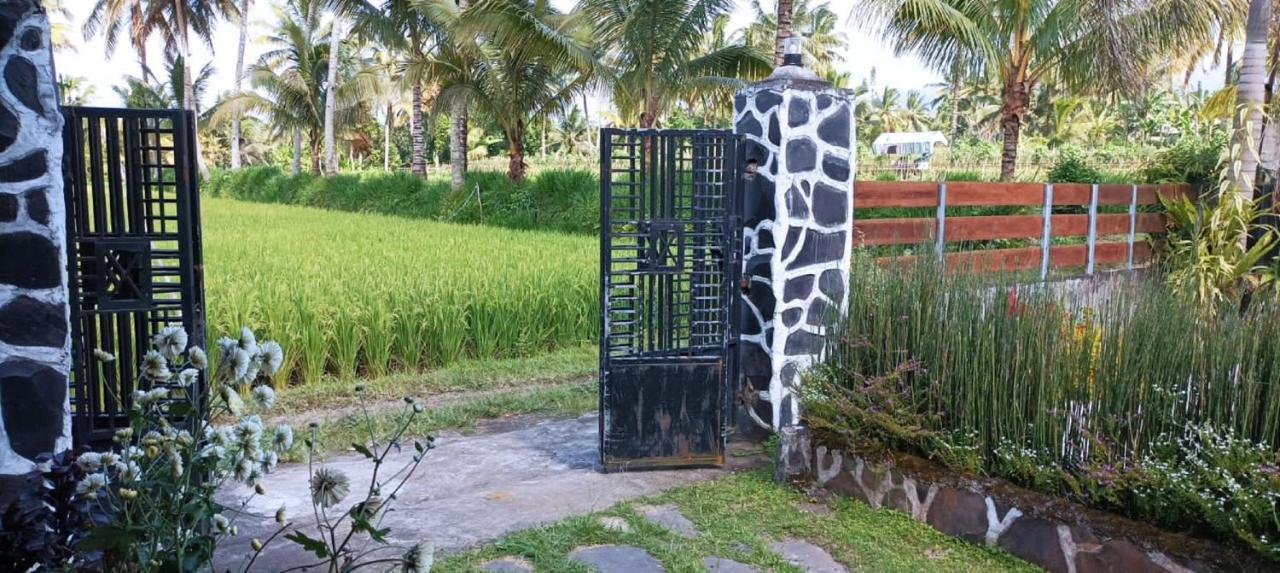 טטבאטו Mysha Guest House-Lombok מראה חיצוני תמונה
